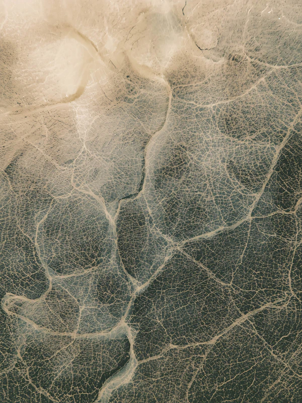 Cracked Texture Close-Up