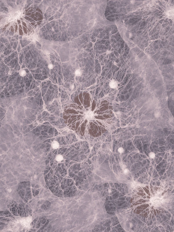 Cosmic Neural Lattice