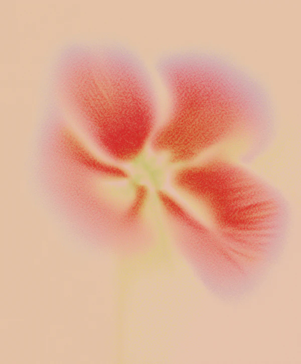 Dreamy Red Flower
