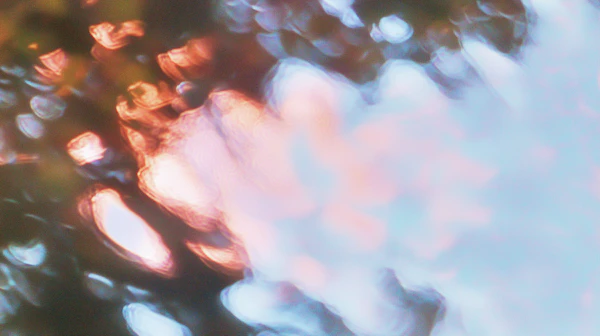 Dreamy Light Bokeh