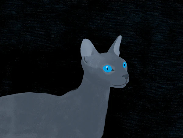 Graceful Gray Sphynx Cat Illustration