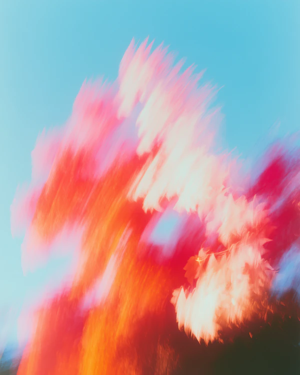 Vibrant Abstract Motion