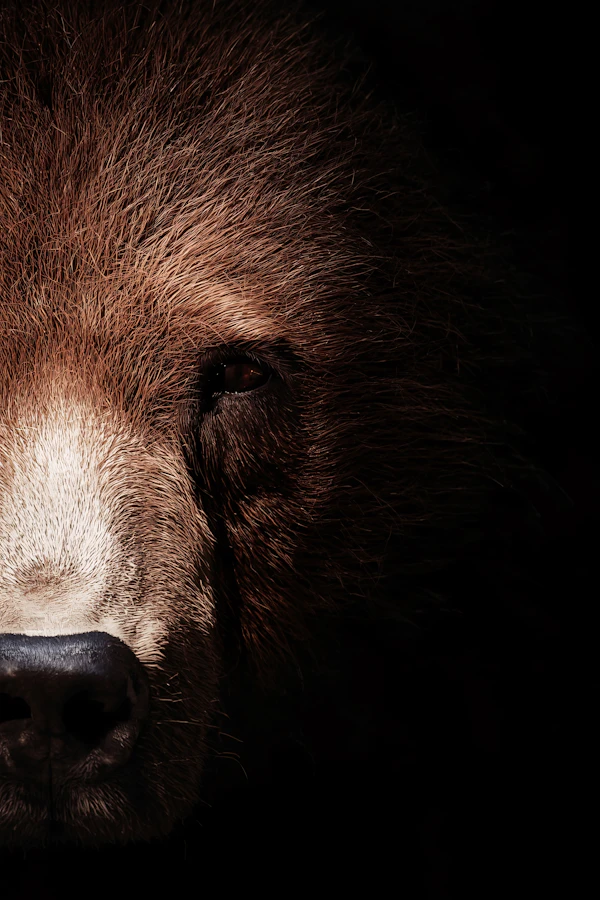 Majestic Bear Portrait