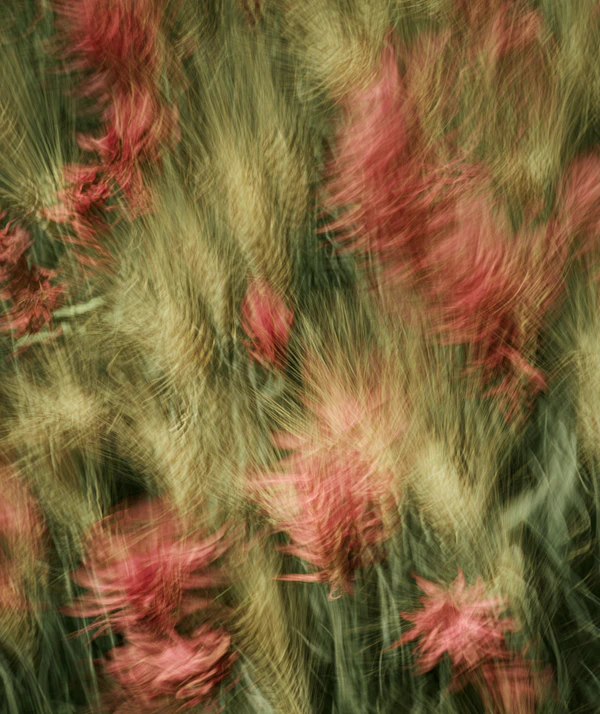 Abstract Nature Scene