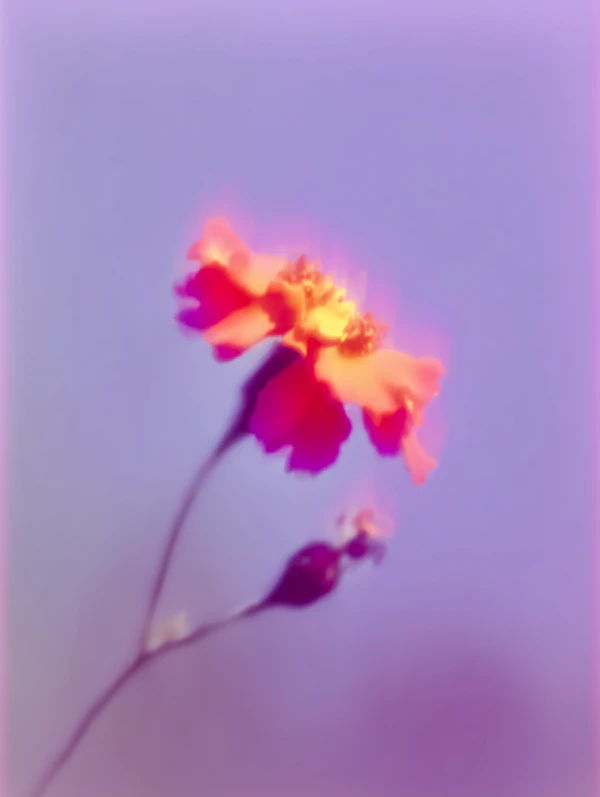 Glowing Flower Art