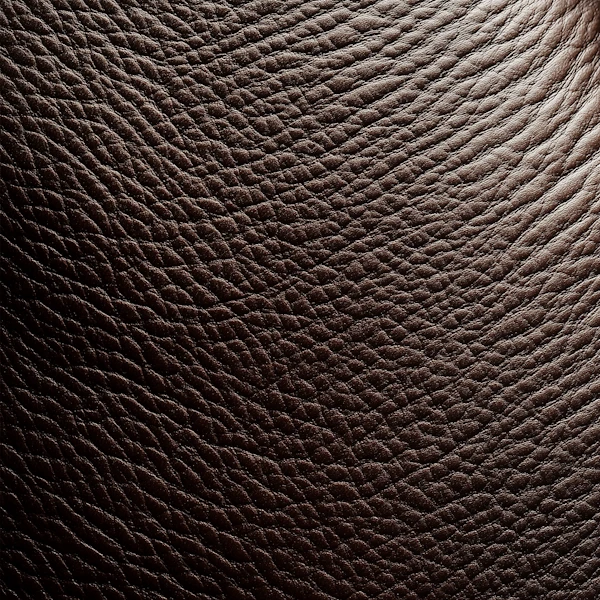 Textured Leather Close-Up