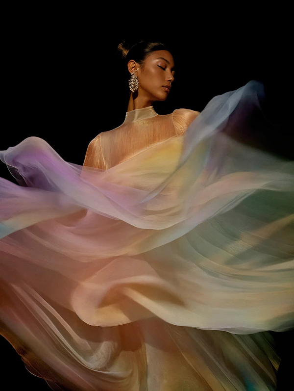Elegant Woman in Gown