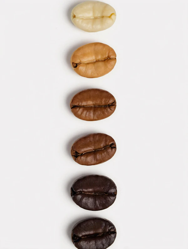 Coffee Bean Gradient