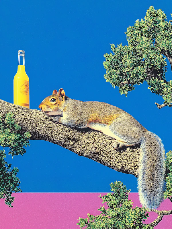 Squirrel on Branch