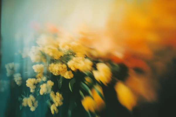 Dreamy Yellow Flowers