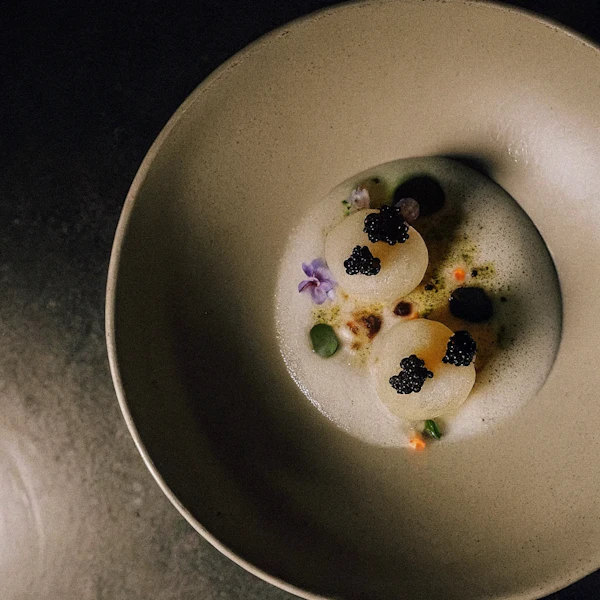 Elegant Culinary Dish
