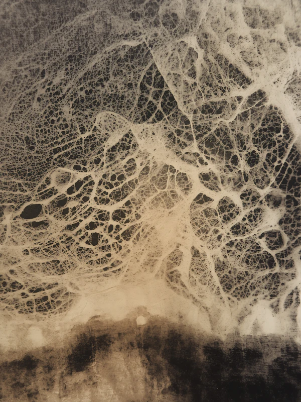 Organic Web Patterns