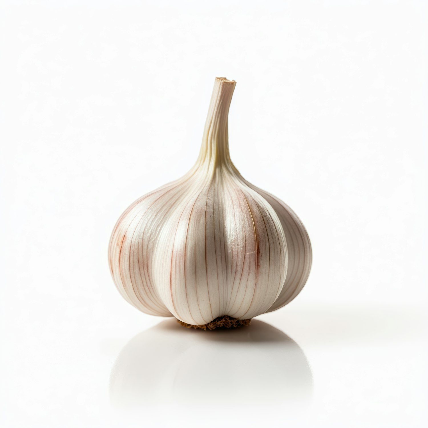 Garlic Bulb on Light Background