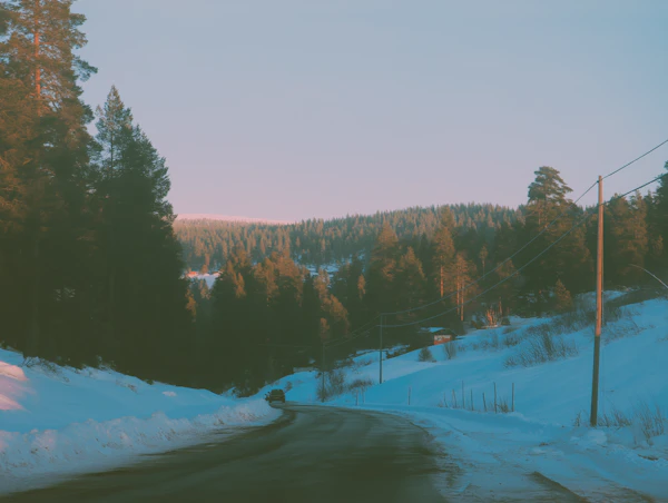 Winter Forest Snow Road