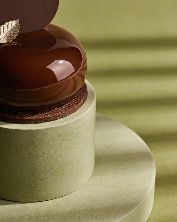 Glossy Chocolate Dessert