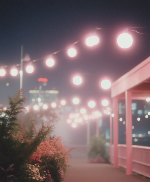 Serene Evening Walkway