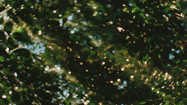 Sunlit Foliage Bokeh