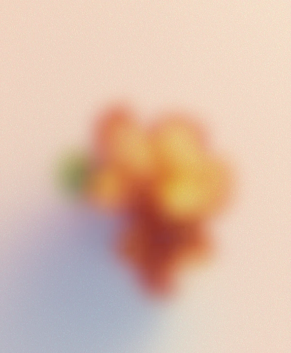 Abstract Floral Blur