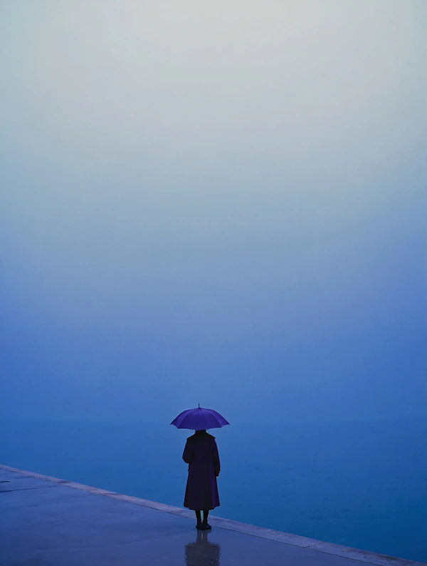 Solitary Reflection Scene