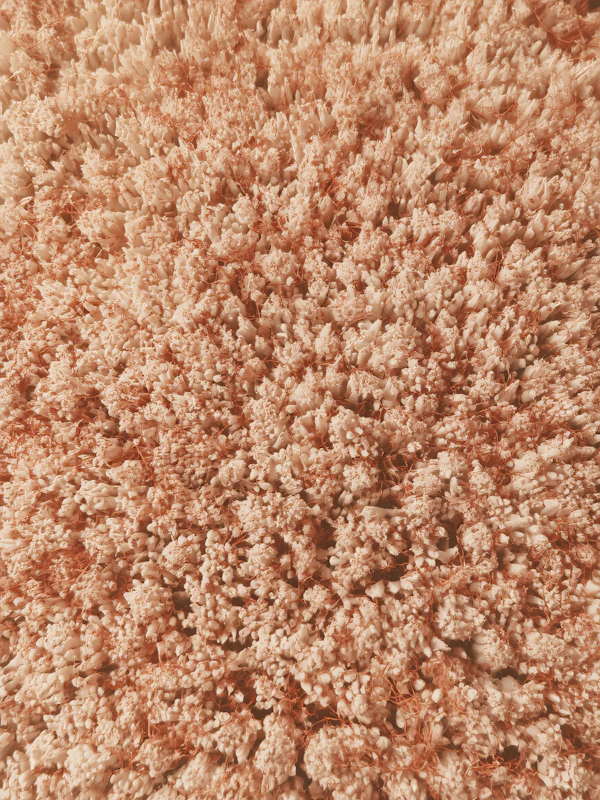 Textured Coral Surface