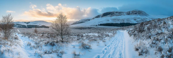 Serene Winter Landscape