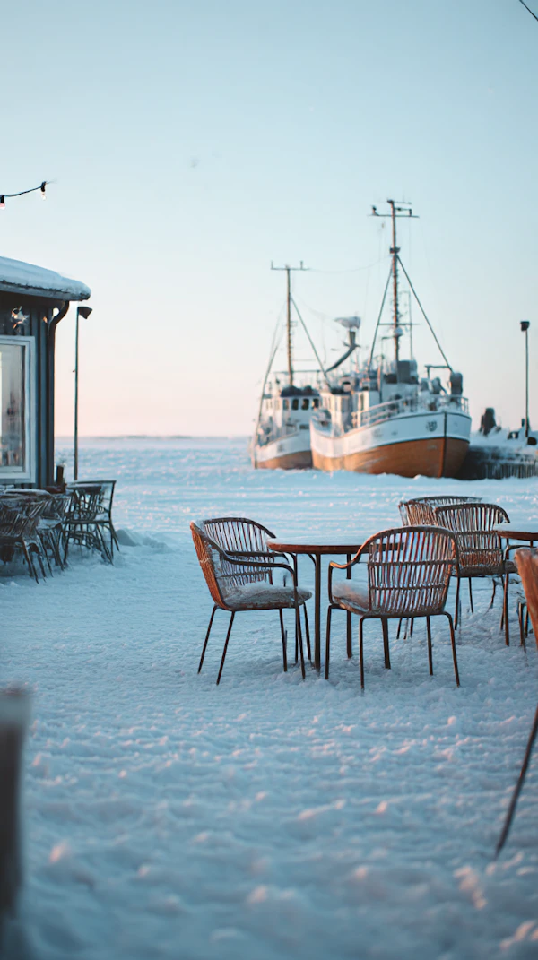 Winter Harbor Scene