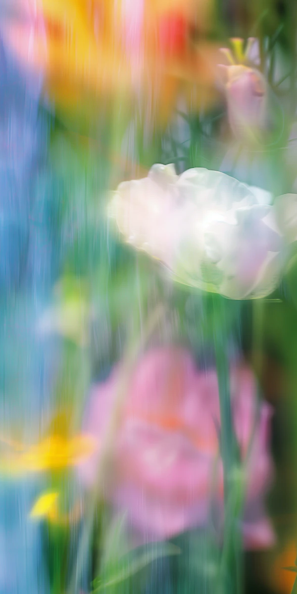 Dreamy Floral Abstract