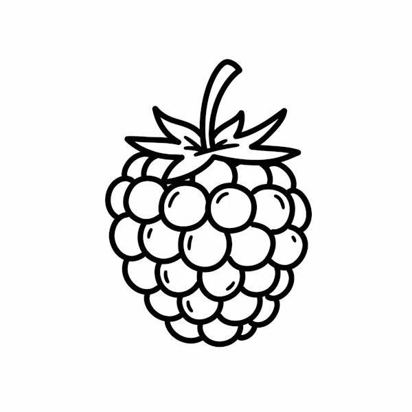 Raspberry Line Drawing