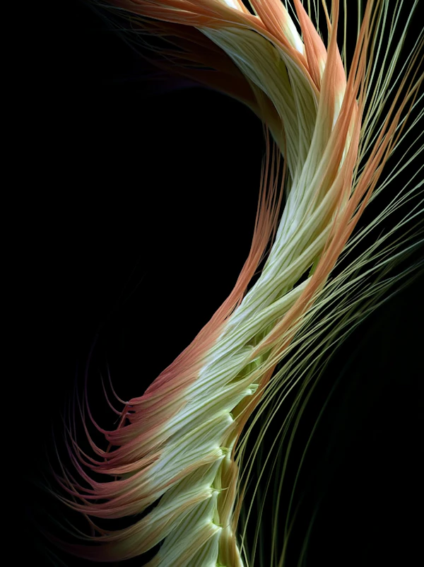 Organic Abstract Design