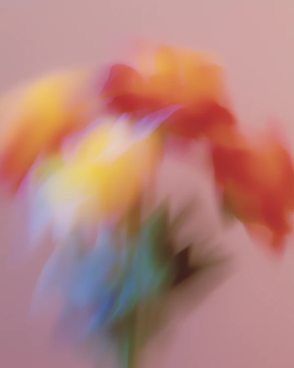Abstract Floral Dream