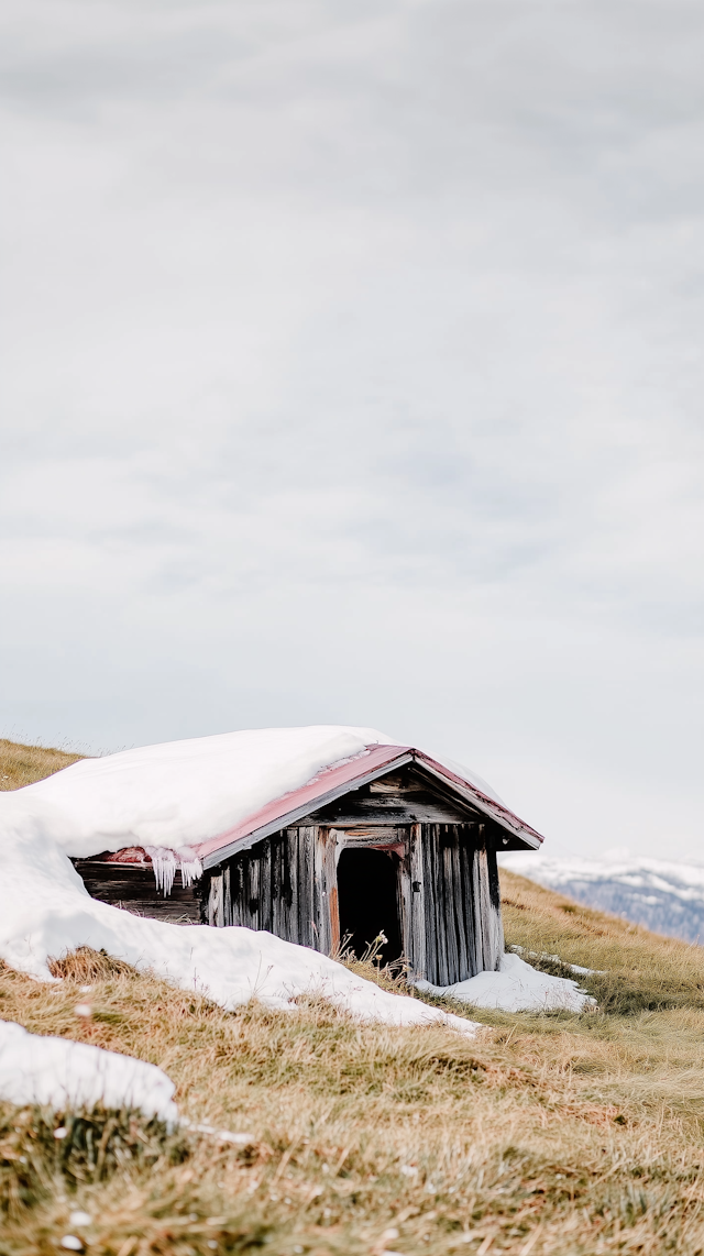 Rustic Cabin in Snowy Landscape