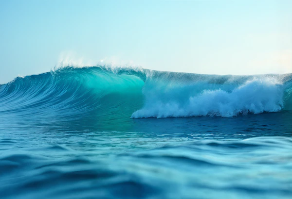Ocean Wave Mid-Crest