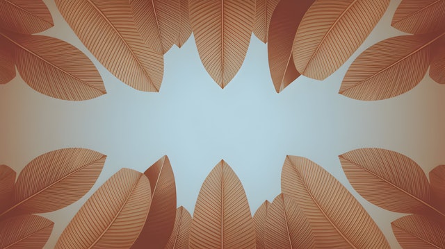 Stylized Leaf Border