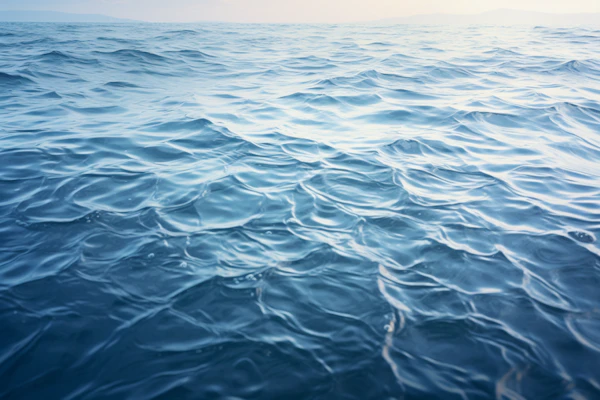 Serene Ocean Expanse