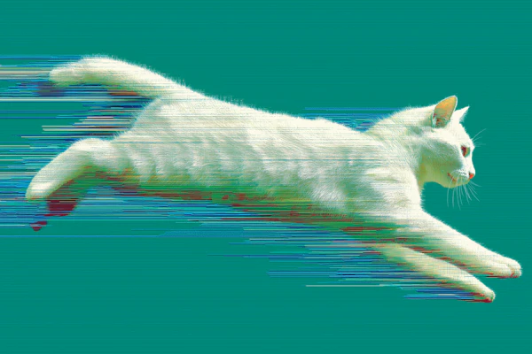 Leaping White Cat Art