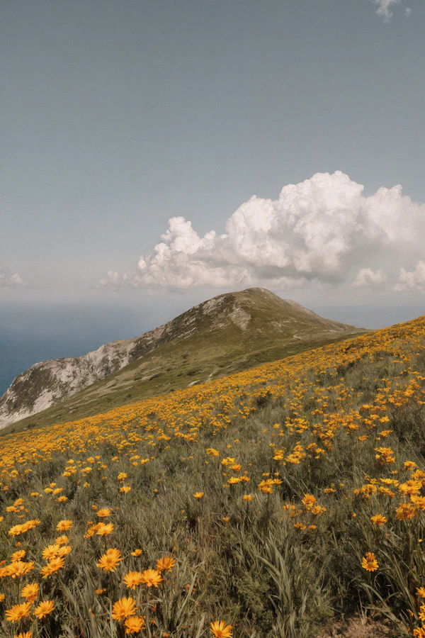 Mountain Flower Landscape