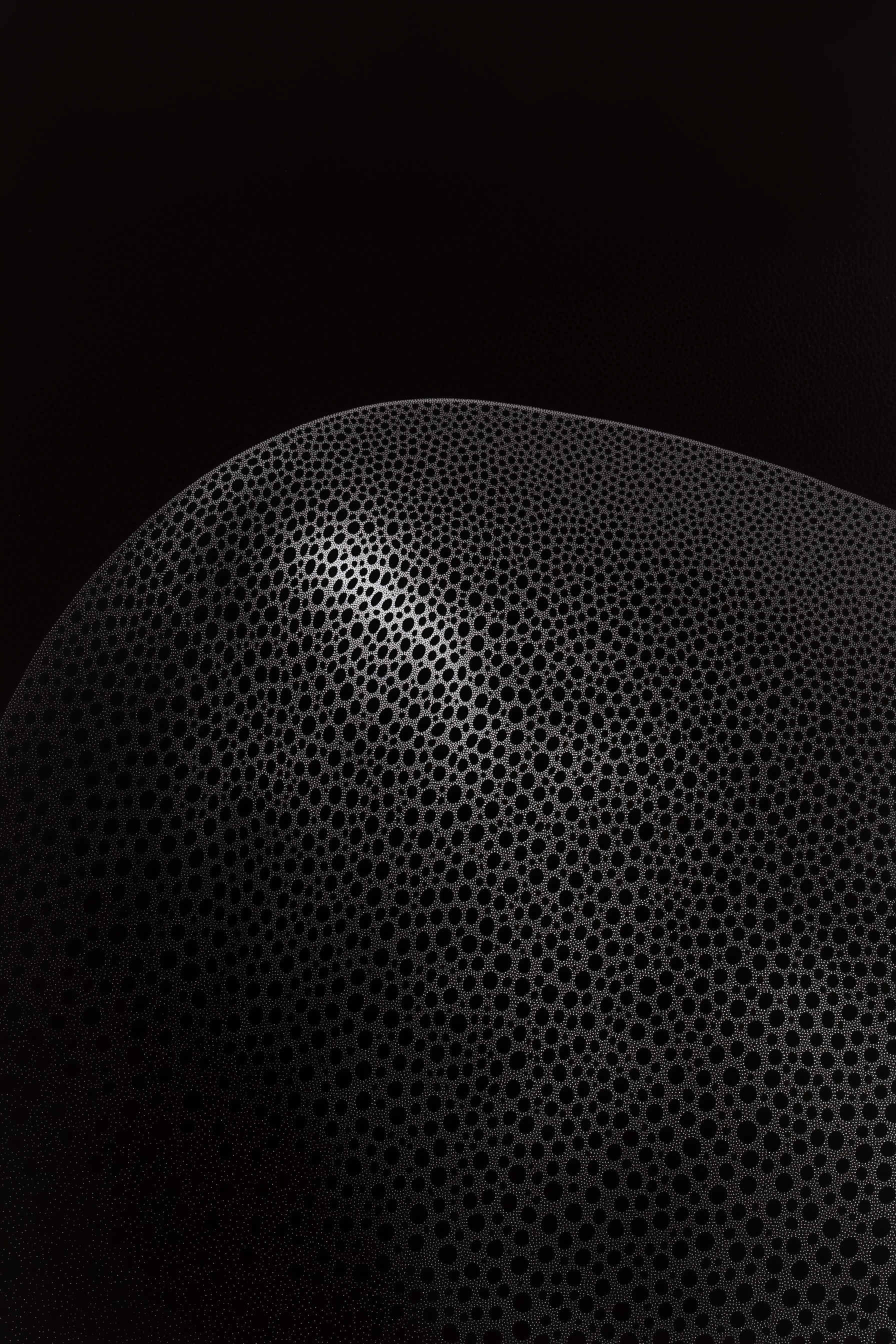 Textured Dome Surface Photo on Lummi