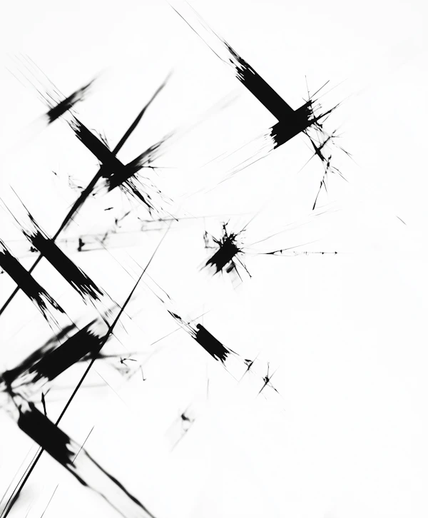 Abstract Black and White Composition