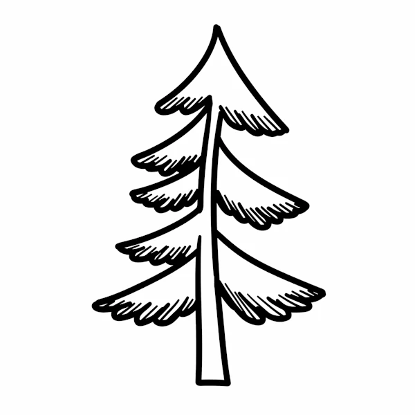 Stylized Evergreen Drawing