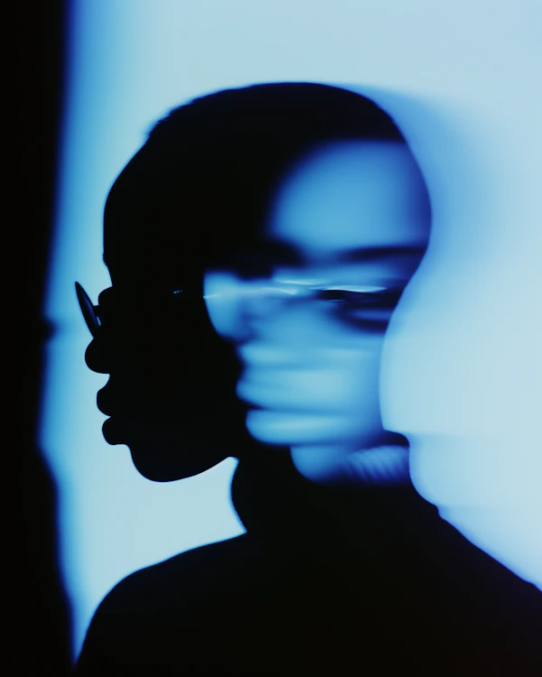 Silhouette with Blur Effect