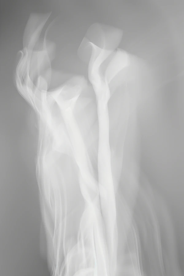 Ethereal Smoke Forms