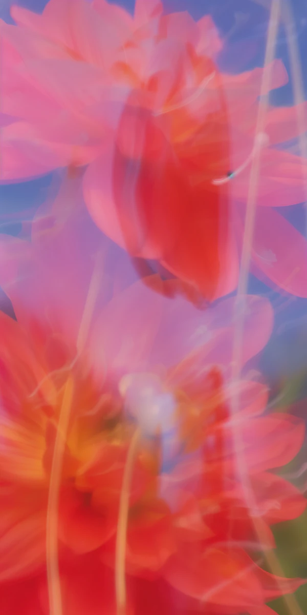 Abstract Floral Dream