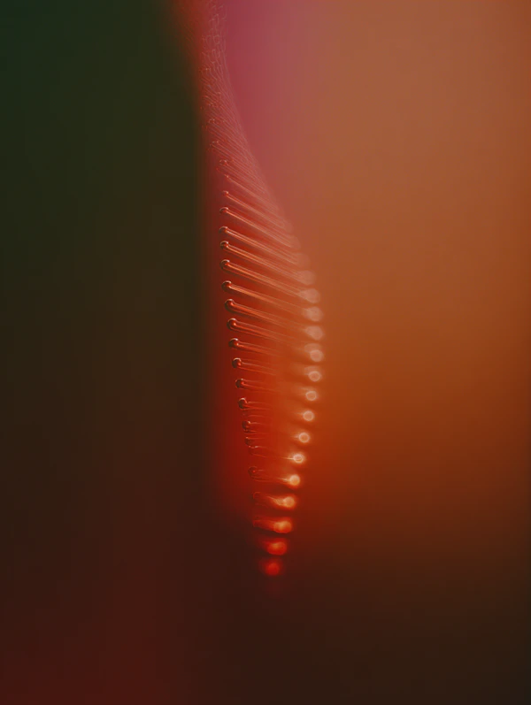 Glowing Red Droplets