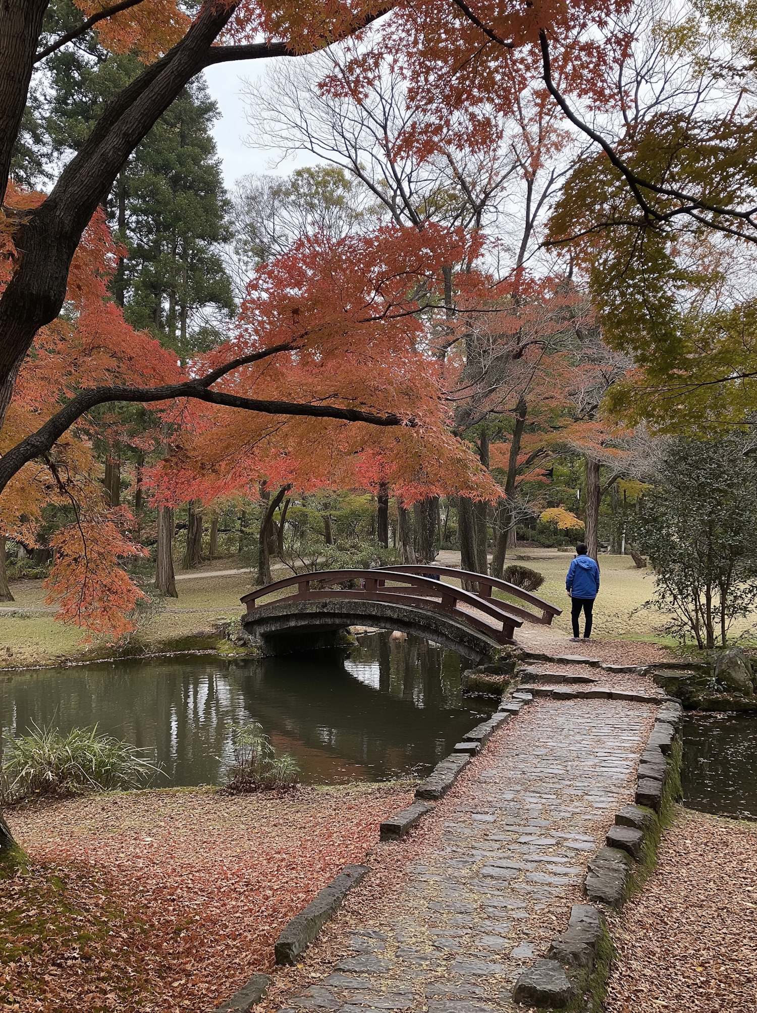 Serene Autumn Park Scene