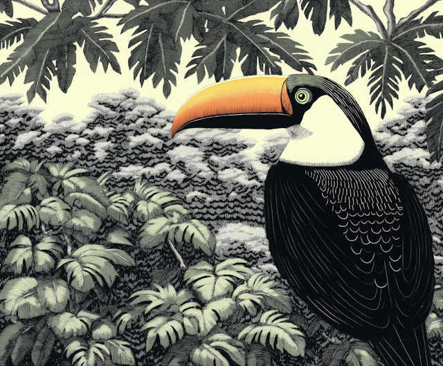 Vivid Toucan Illustration