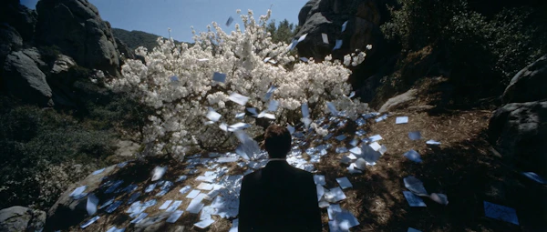 Man and Blooming Tree
