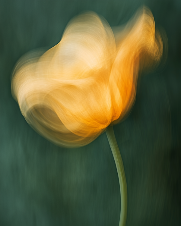 Ethereal Yellow Flower