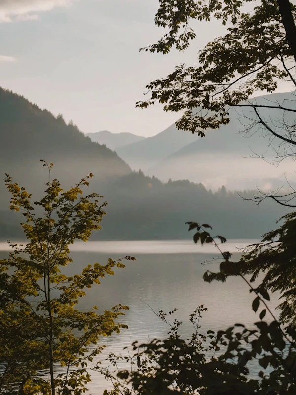 Serene Lake Landscape