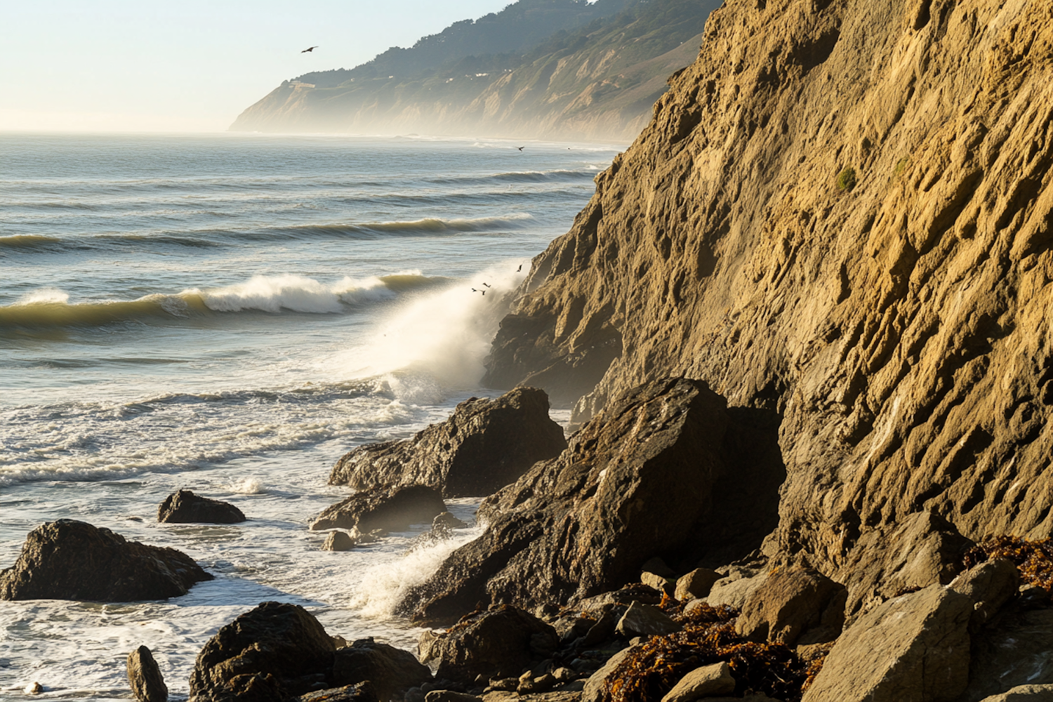 Rugged Coastal Scene