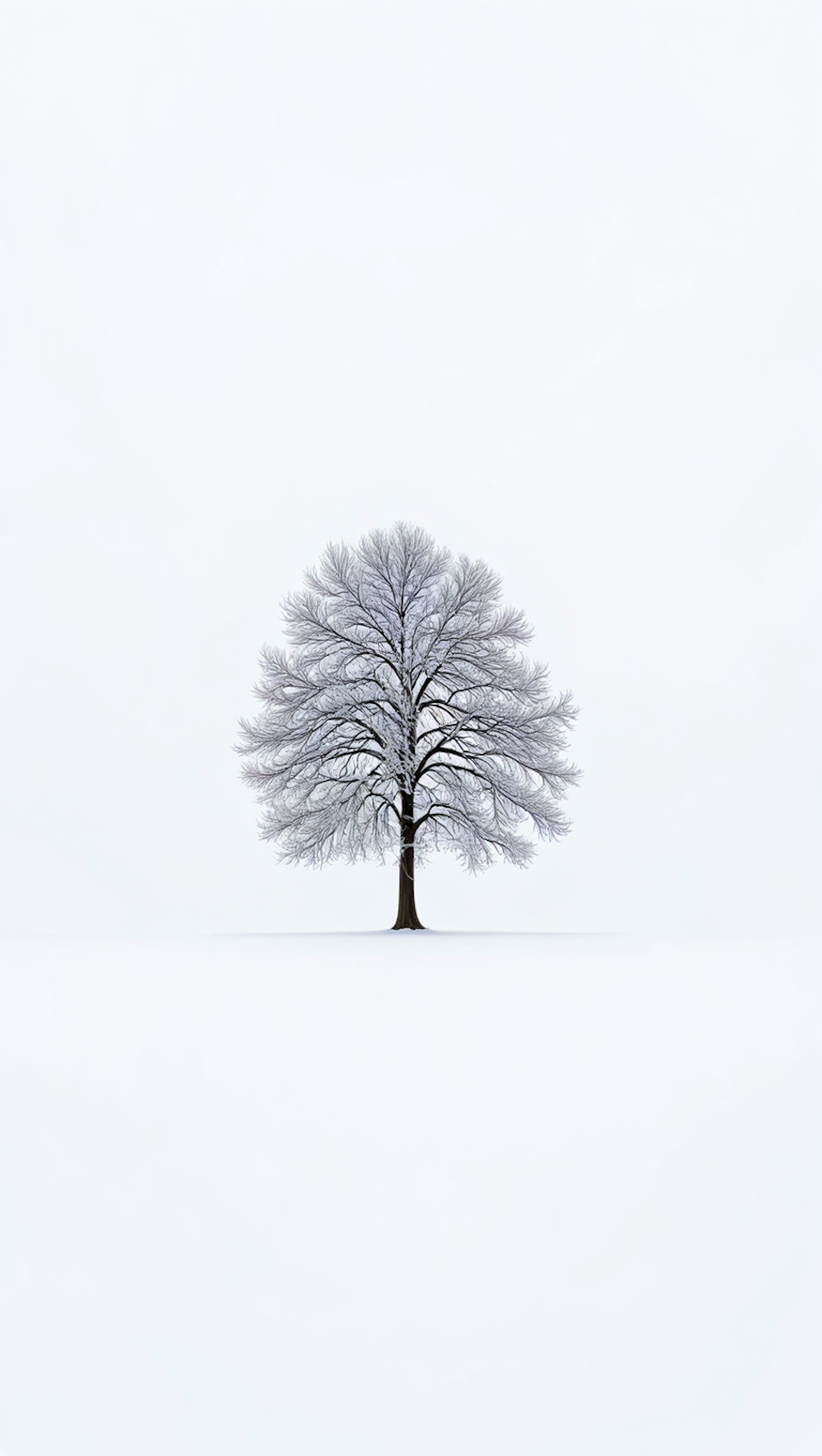 Solitary Winter Tree